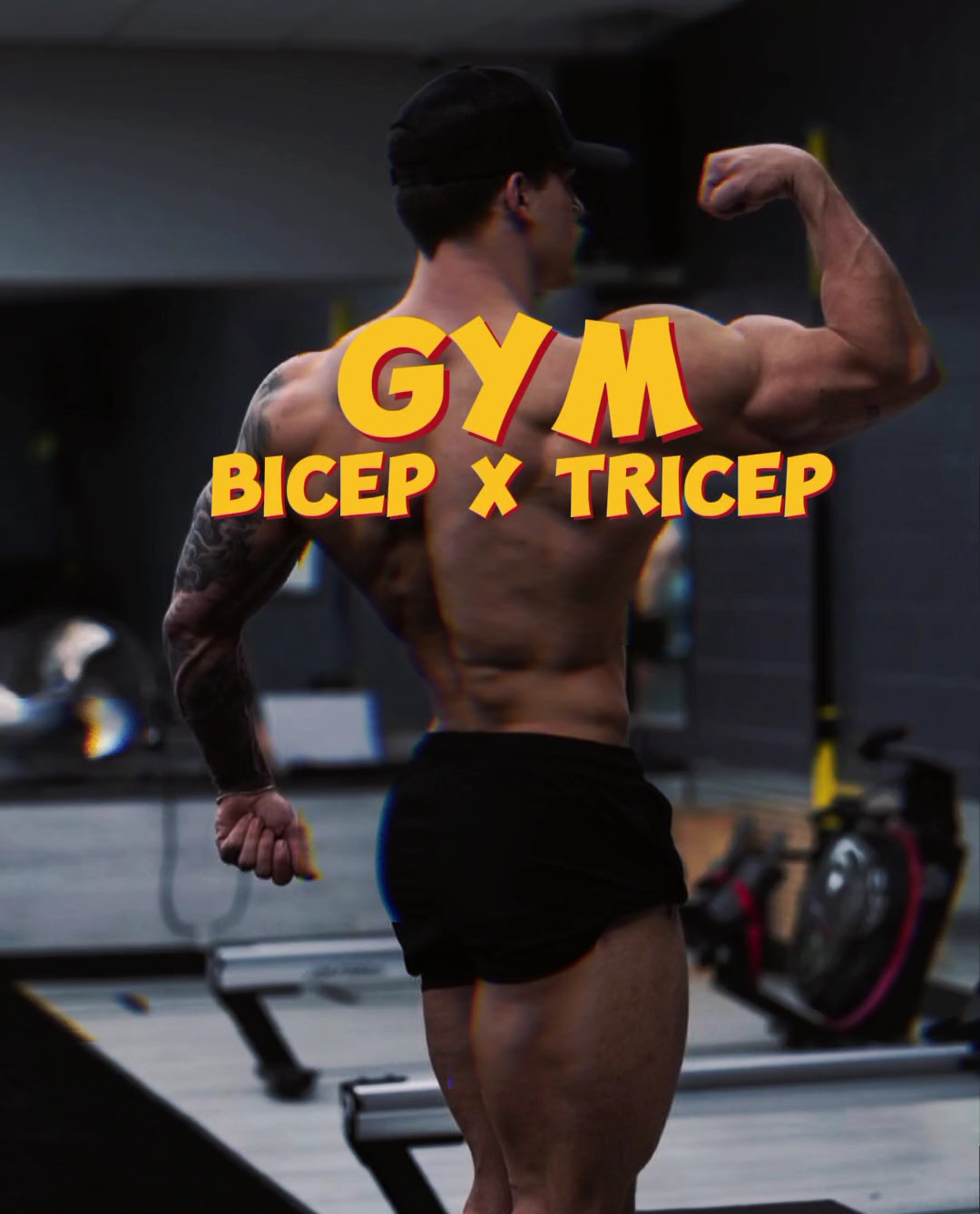 GINÁSTICA bíceps x tríceps 