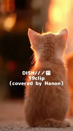 DISH///猫