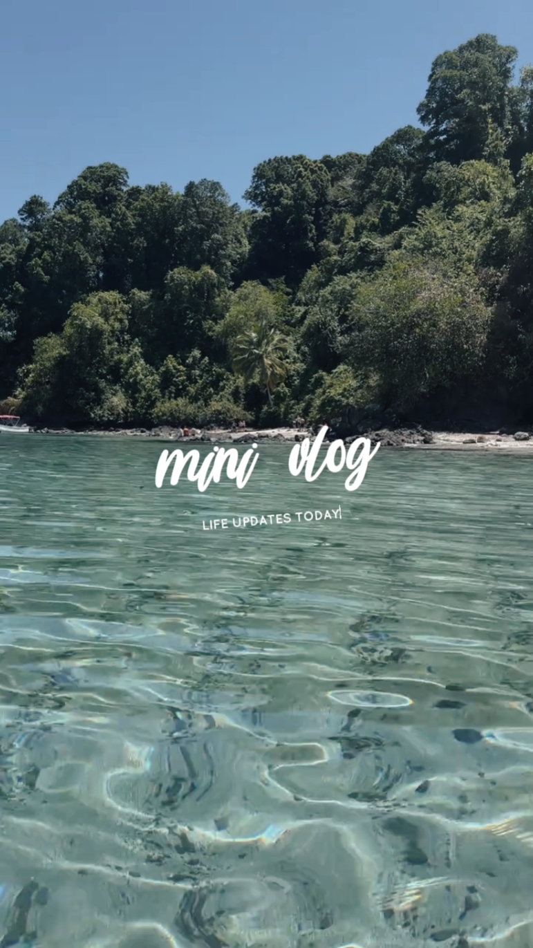 Mini vlog