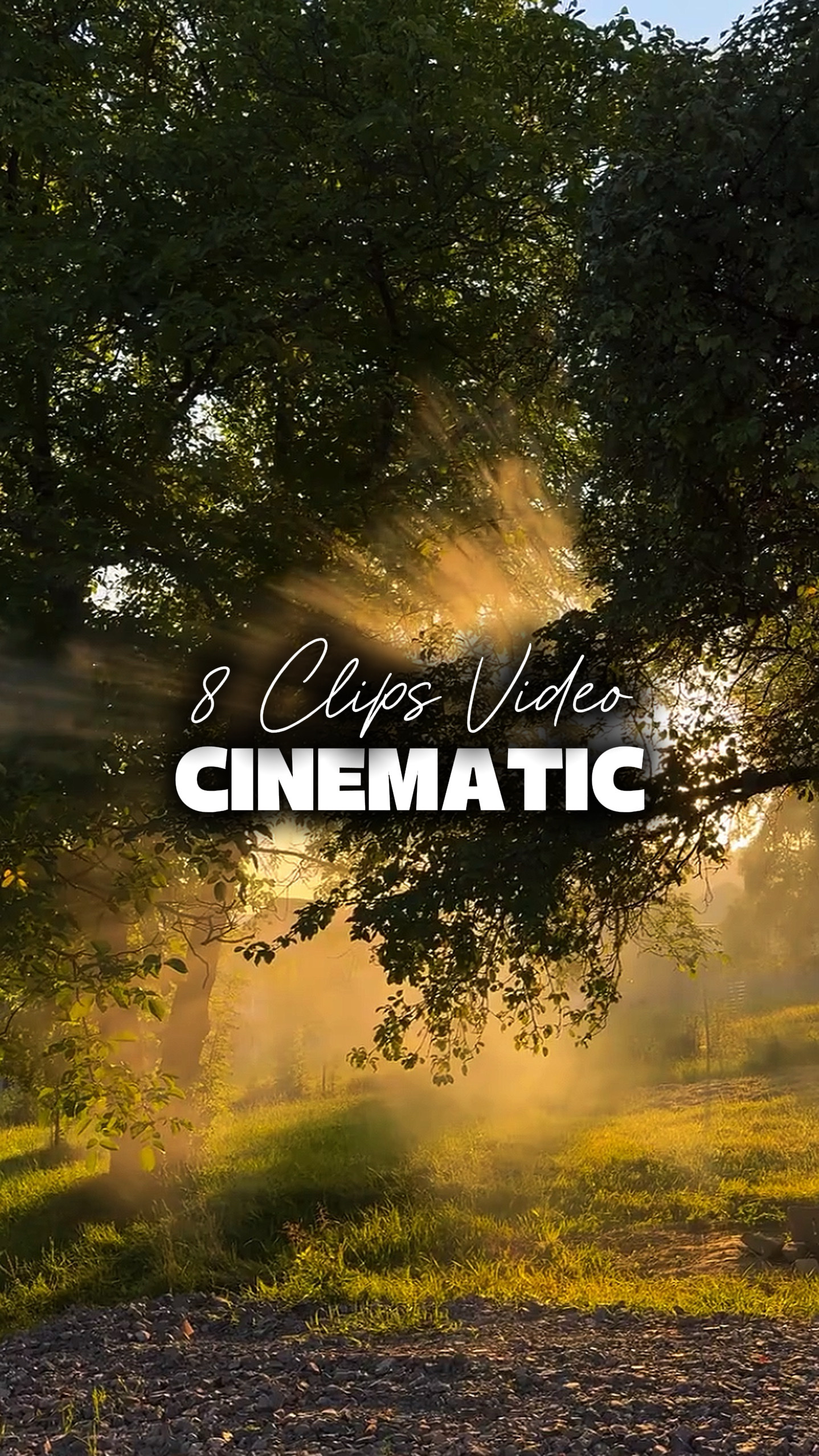 8 Vídeos Cinematográficos 