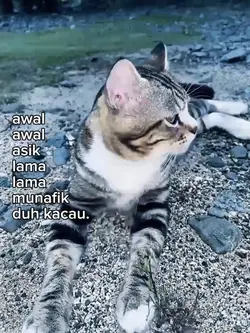 awal awal asik lama