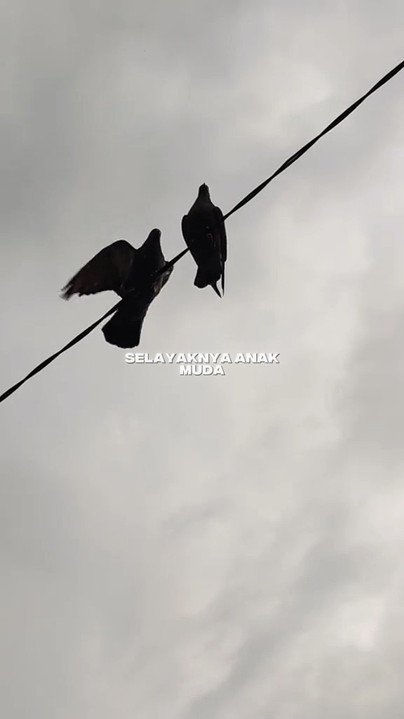 SELAYAKNYA ANAK MUDA
