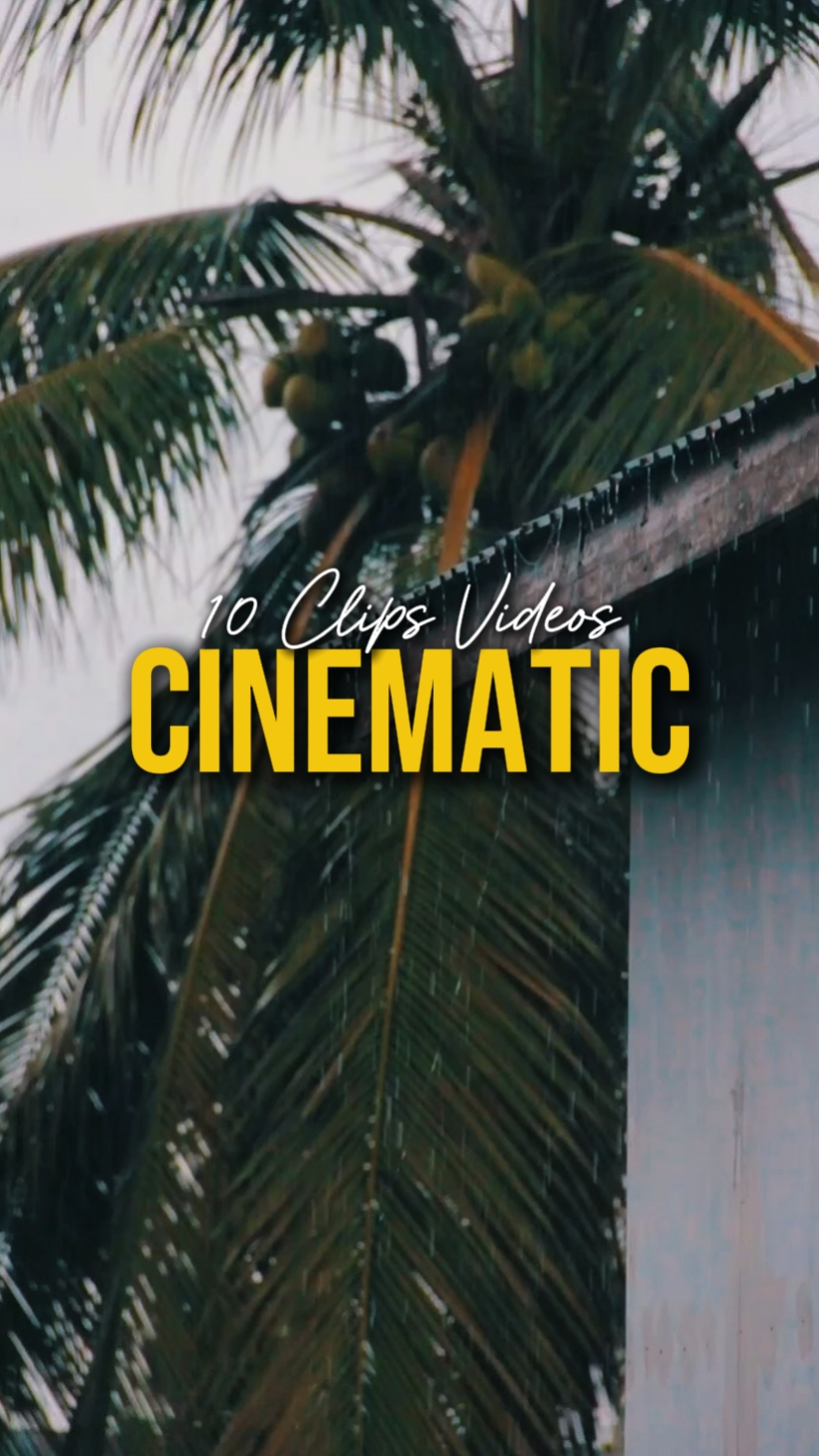 CINEMÁTICO 10 VÍDEOS
