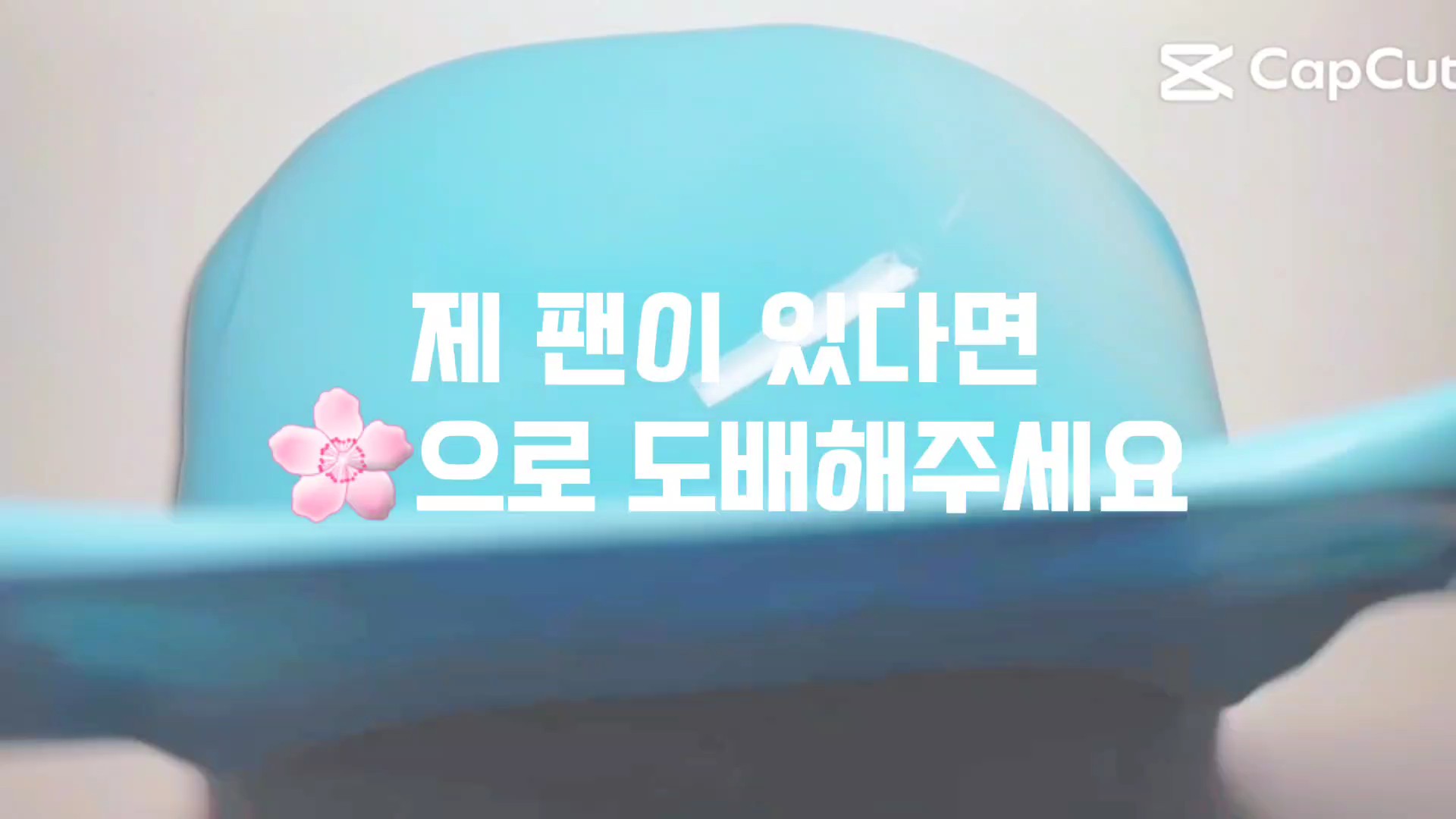 제 팬이 있다면..