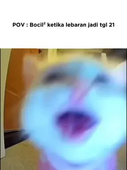 kucing ngreok
