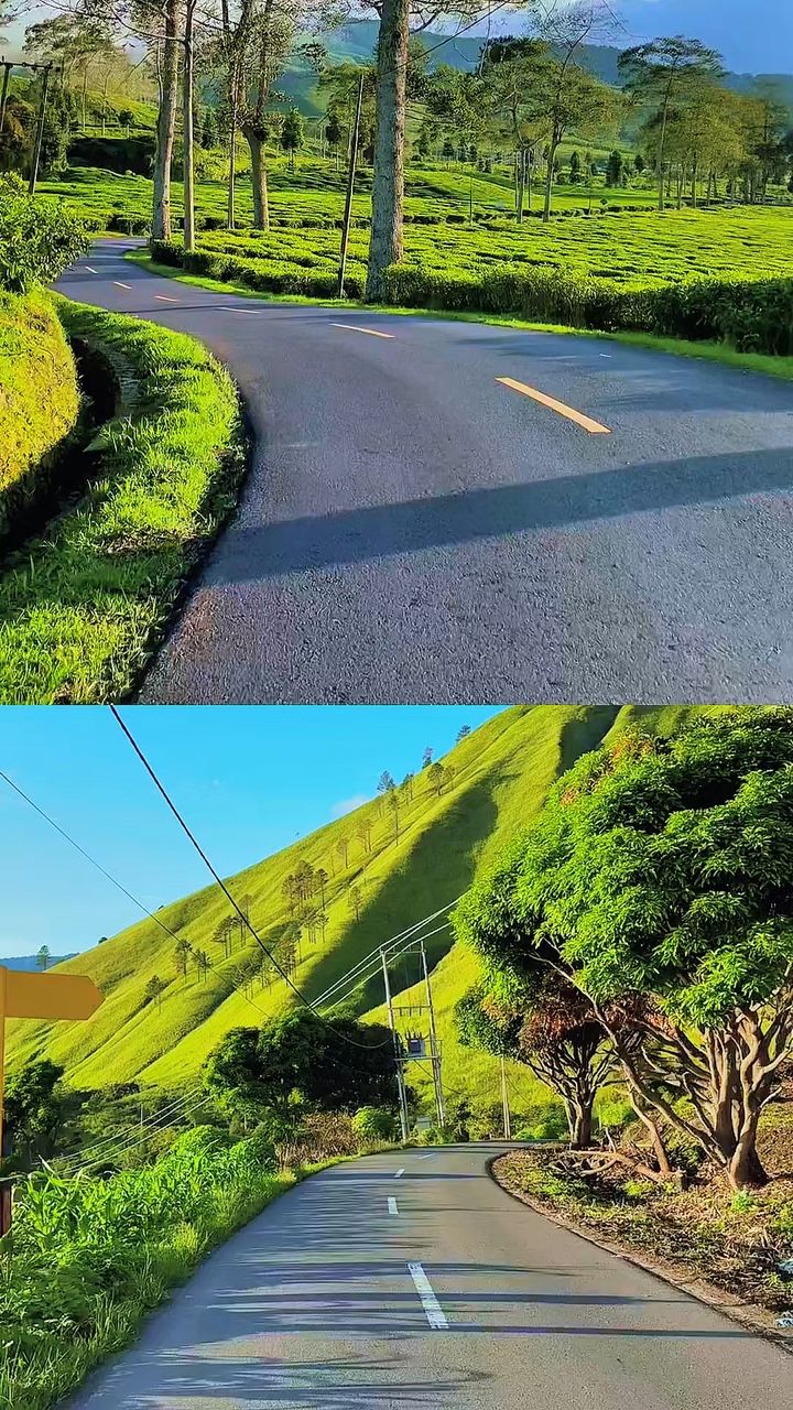 Collage 2 video