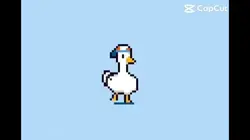 Duck meme