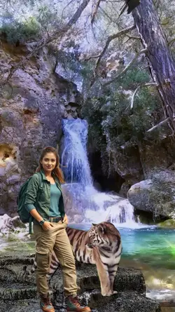 Waterfall