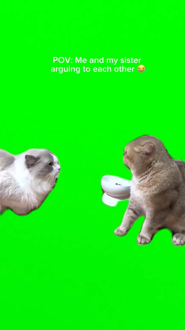 Meme POV 