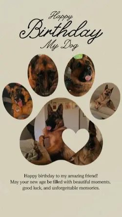 birthday my dog