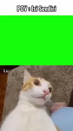 meme