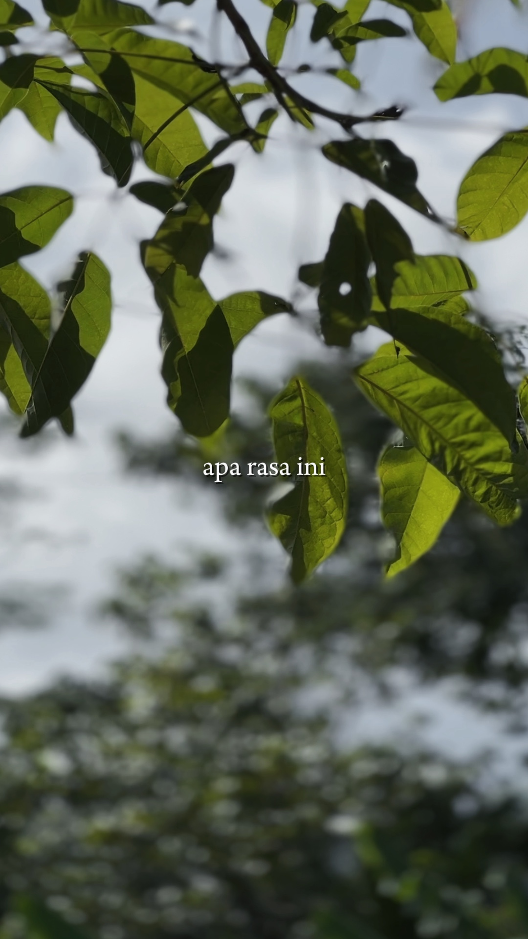 APA RASA INI HANYA