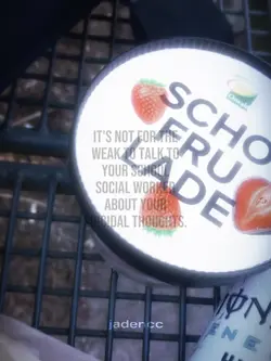 school social worker