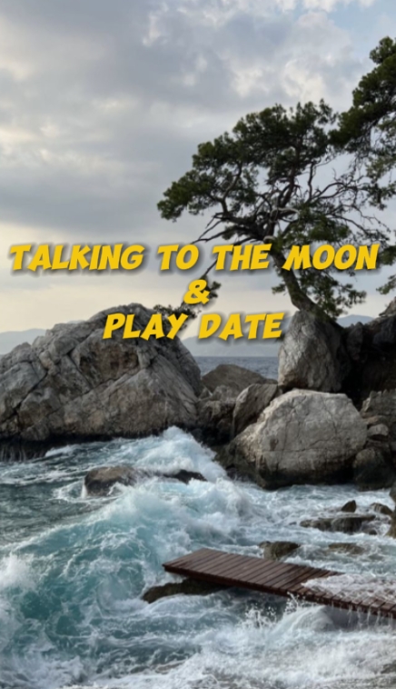 TALKING TO THE MOON 