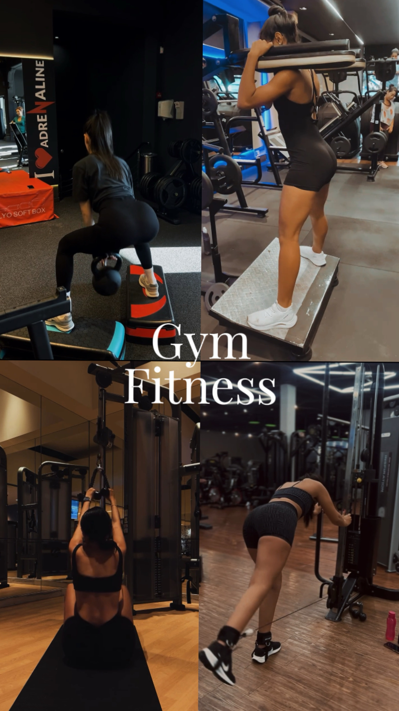 Gym Fitness