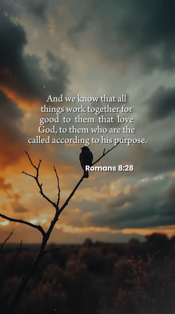 Romanos 8: 28