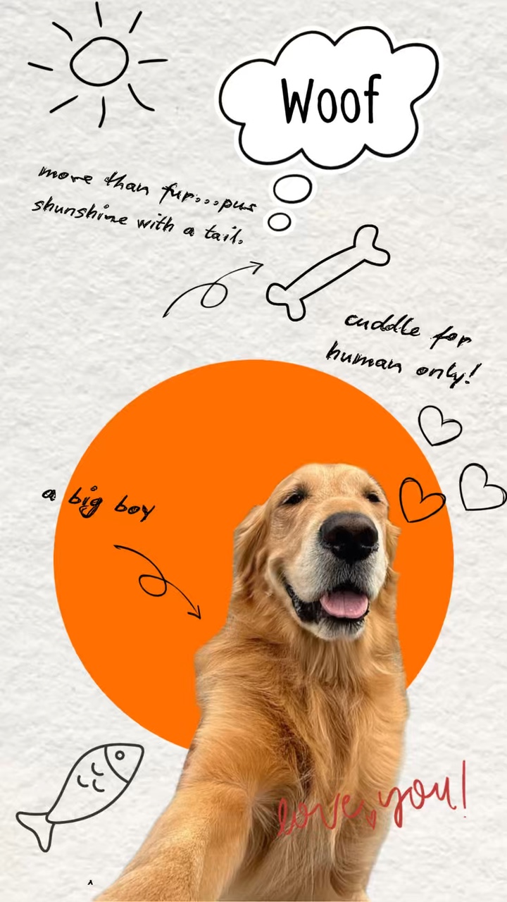 My dog