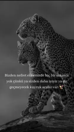 Yeni şablon 
