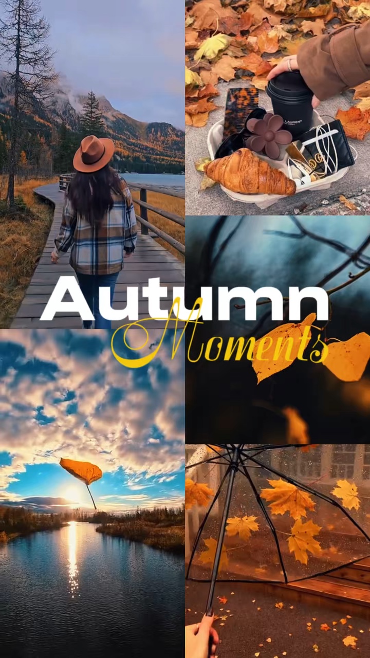 Autumn Moments 