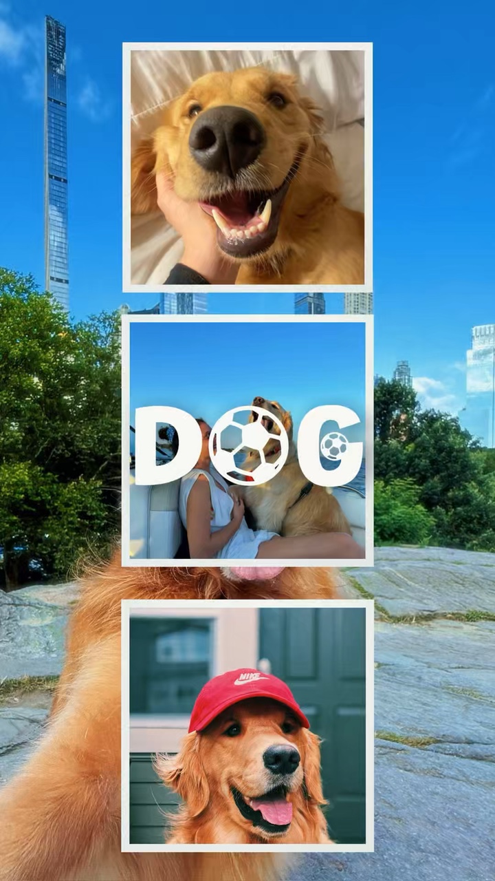 J'aime mon chien