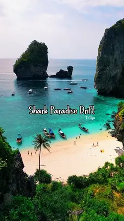 Shark Paradise Drift