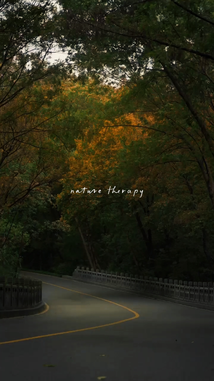 nature therapy