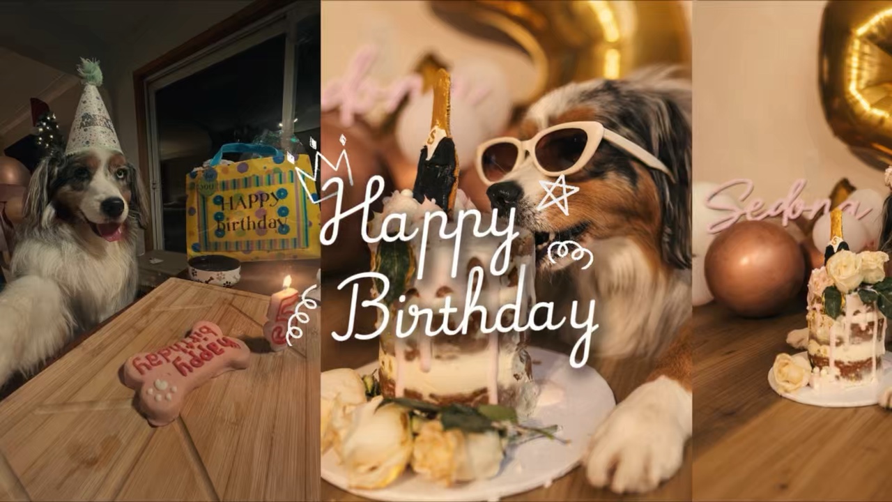 Aniversário meu cachorro