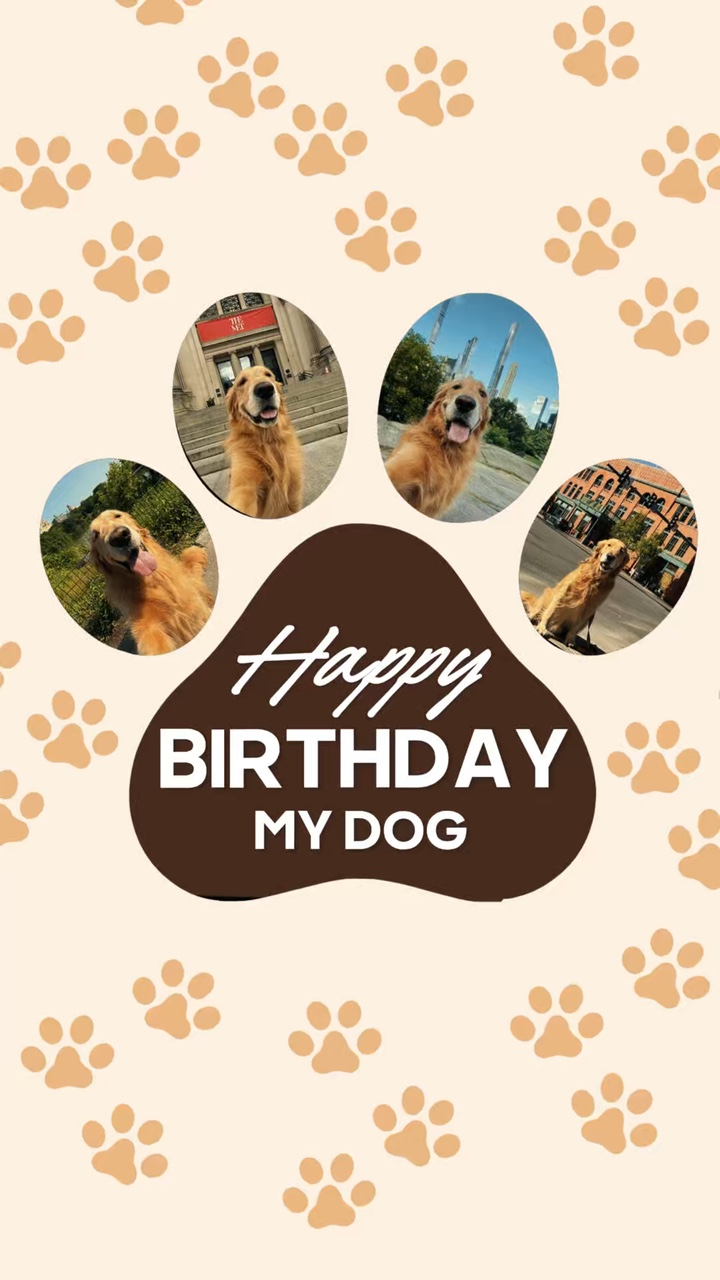 Aniversário meu cachorro