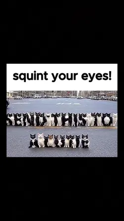 send to ur friend