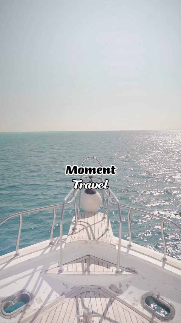 Voyage dans le temps