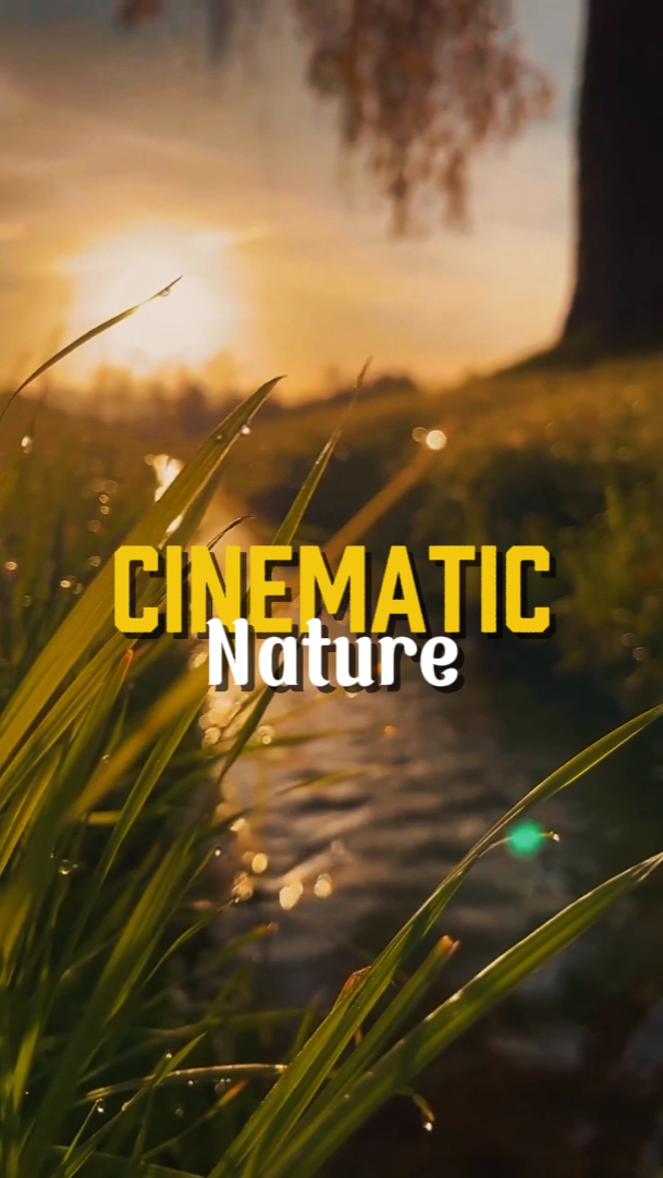 CINEMATIC NATURE