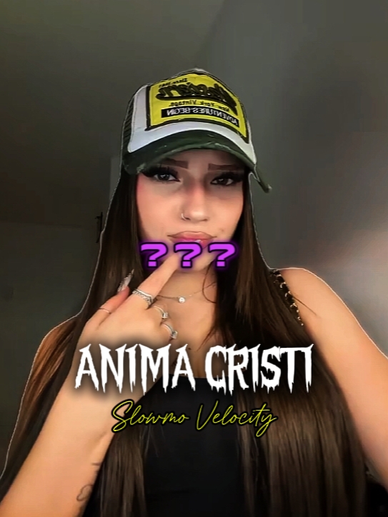 Anima Cristi