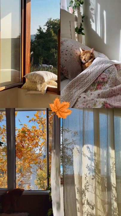 Grid 4 clips🍂