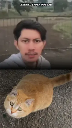 ketek lu bau