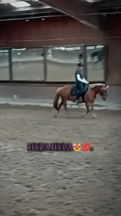 HYPA HYPA