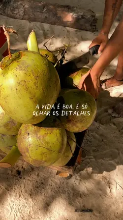A VIDA É BOA, É SÓ..