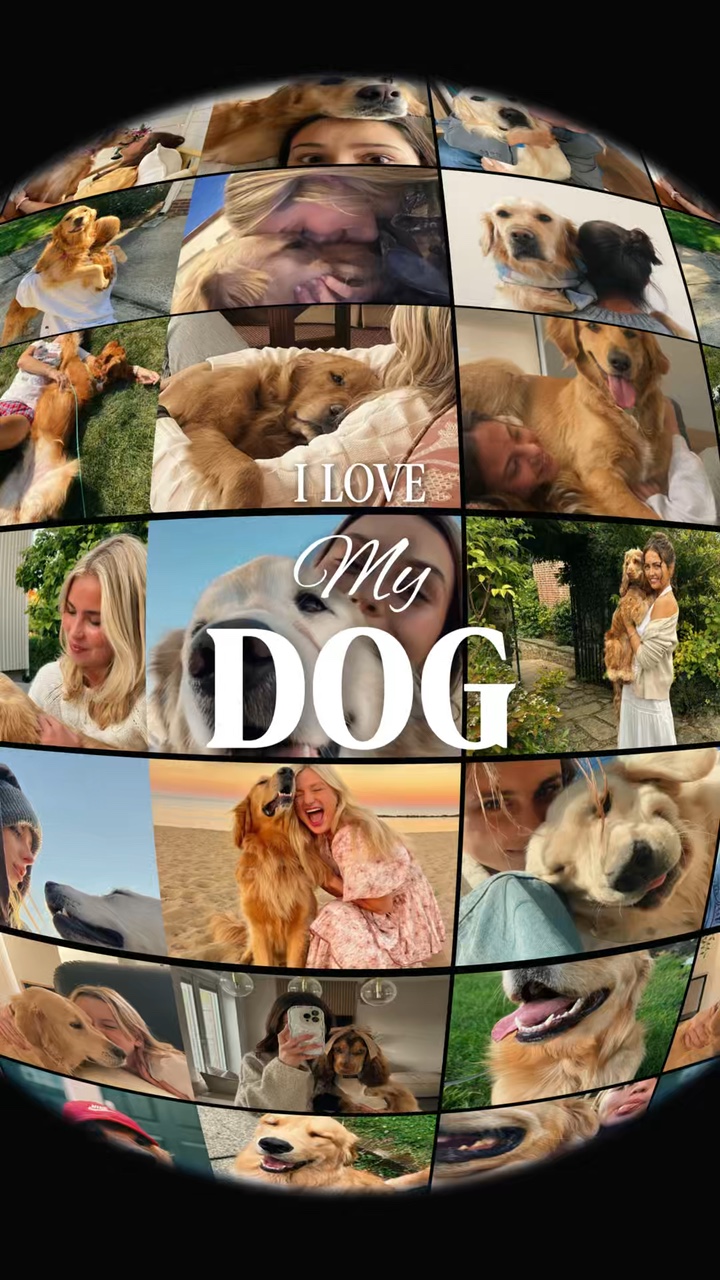 Foto del vertedero de perros