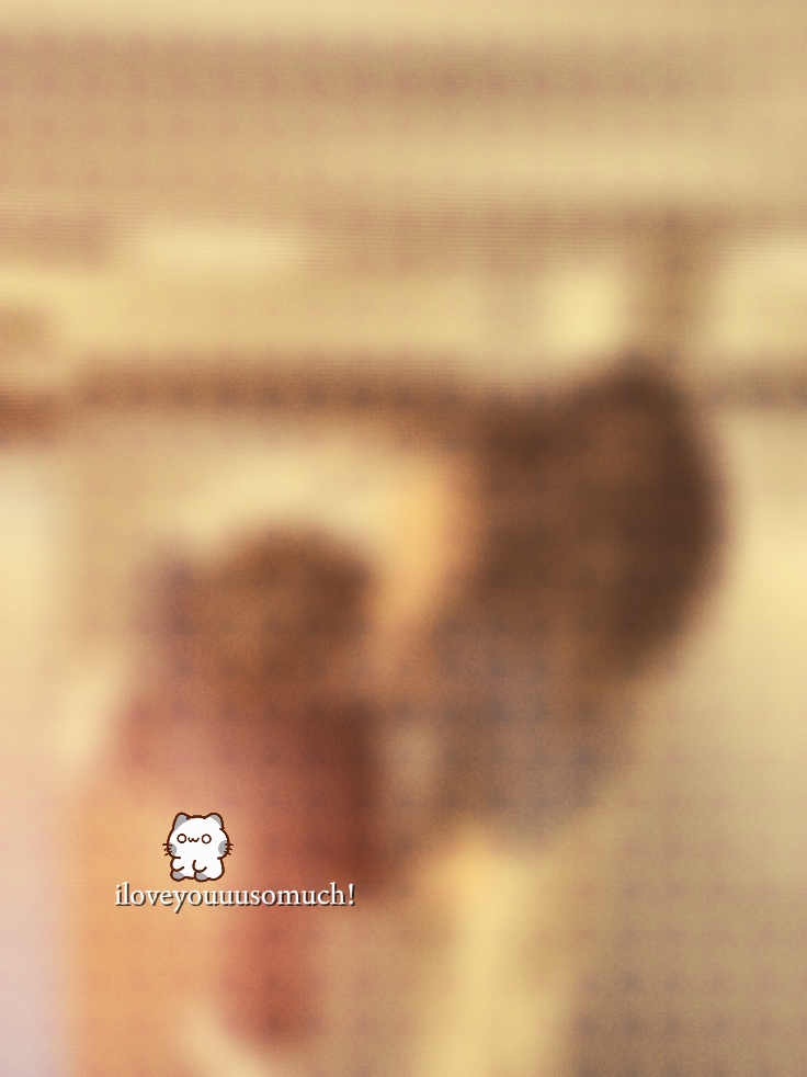 foto blur 1pic 