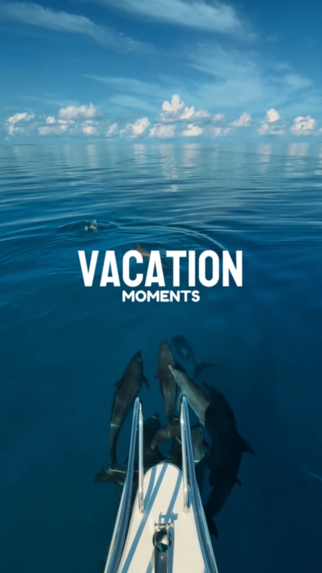 Vacation moments
