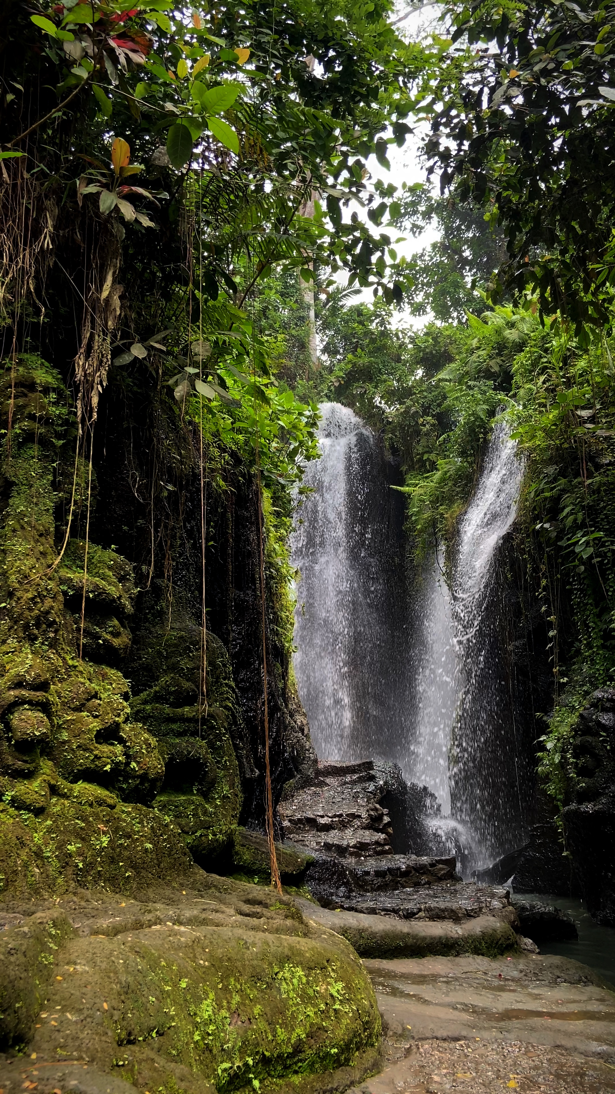 Bali