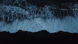 7° A — Água-Viva