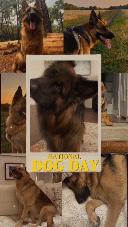 Día Nacional del Perro