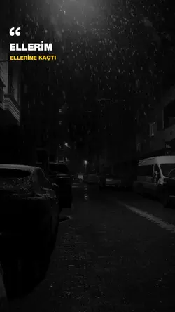 Bu ziyaret amacı sen
