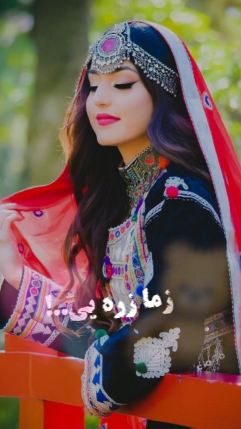 Afghan template 