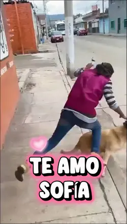 Caรญda amor