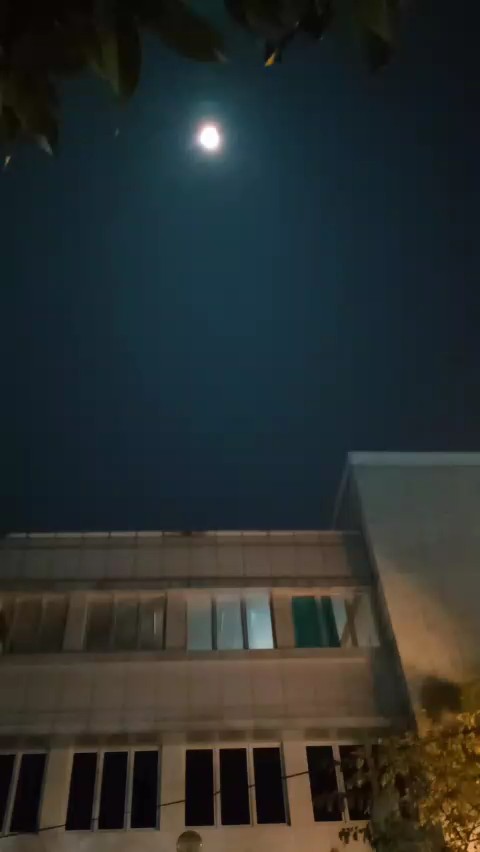 kata kata Prabowo 