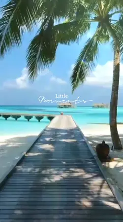 Little Moments