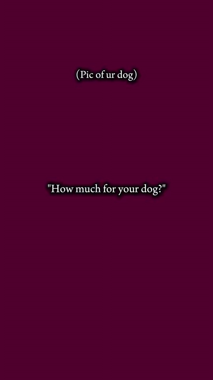 Wie viel Ihr Hund