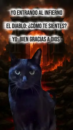 Humor