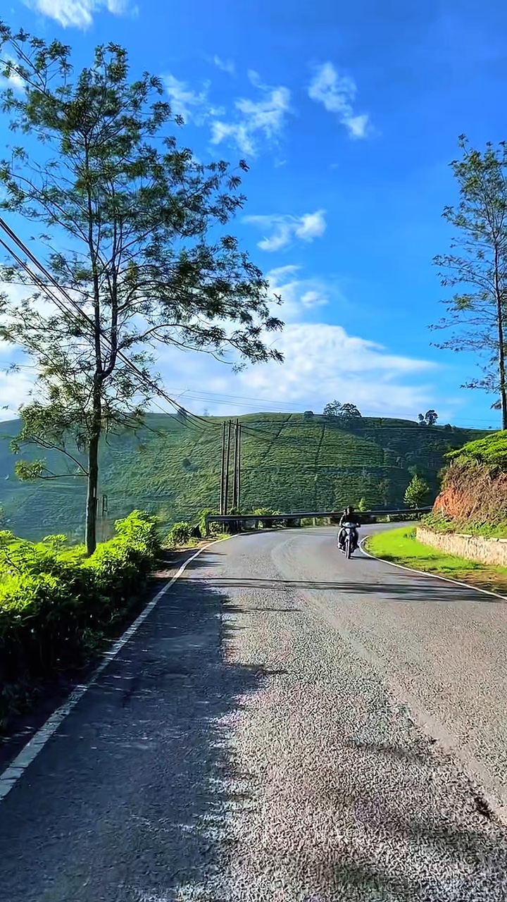 4 clips road 